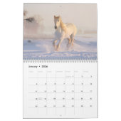 Beauty on the Earth Scenery and Animals Calendar カレンダー (1月 2026)