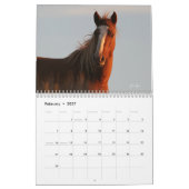 "Beauty Queens" MustangWild 2026 Calendar カレンダー (2月 2027)