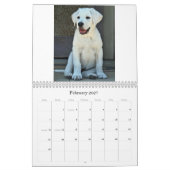 beauty-the-labrador-retriever_42196_2010-02-24_w45 カレンダー (2月 2027)