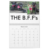 beauty-the-labrador-retriever_42196_2010-02-24_w45 カレンダー (3月 2026)