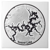 beaver湖のタイル タイル (正面)