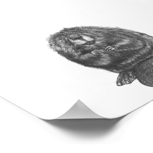 Beaver ポスター (角)