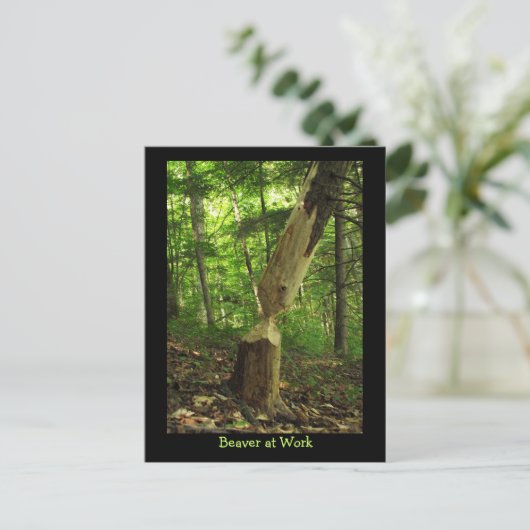 Beaver at Work ポストカード (スタンド正面)