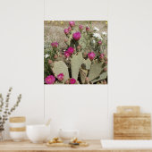 Beavertail Cactus ポスター (キッチン)