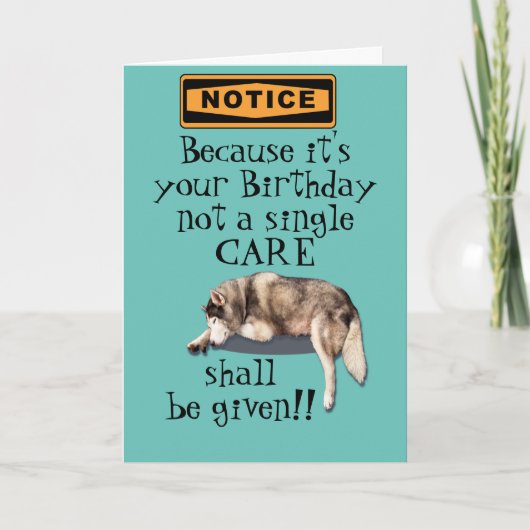 because it's your birthday not a care bday card カード (正面)