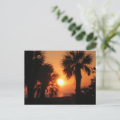 BECKYSパームツリー4-2-02 ポストカード (スタンド正面)