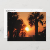 BECKYSパームツリー4-2-02 ポストカード (正面/裏面)