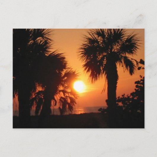 BECKYSパームツリー4-2-02 ポストカード (正面)