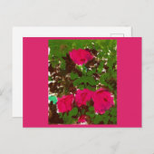 Bed of Roses  ポストカード (正面/裏面)