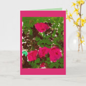 Bed of Roses Greeting Card カード (黄色い花)