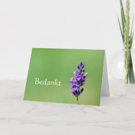 Bedankt – ラベンダーフラワーとオランダありがとう サンキューカード