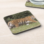 Bedfordshire、イギリス2 コースター (左側)