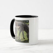 Bedfordshire、イギリス マグカップ (正面左)