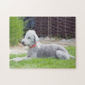 Bedlington Terrier ジグソーパズル (横)
