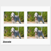 bedlington-terrier-full.png 長方形シール (シート)