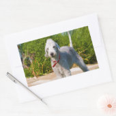 bedlington-terrier-full.png 長方形シール (封筒)