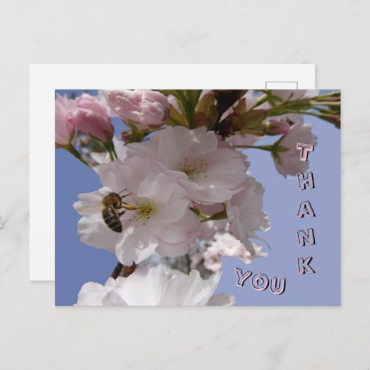 Beeと美しい花はがき|過去記事 ポストカード (正面/裏面)