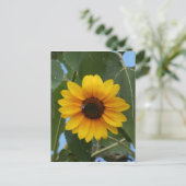 Beeのための朝食!! ポストカード (スタンド正面)