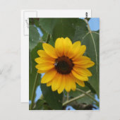 Beeのための朝食!! ポストカード (正面/裏面)