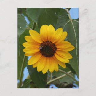 Beeのための朝食!! ポストカード