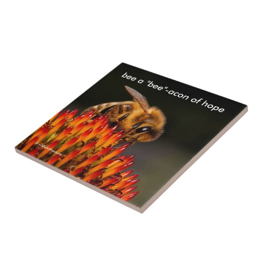 Beeアコンビーコンビーコンビーコンビーコンオンウィーンビーコンオンエキナセア タイル (側面)