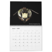 Beeカレ最高のンダー2023、写真と説明 カレンダー (3月 2027)