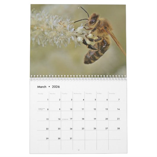 Bee 2025 カレンダー (3月 2026)