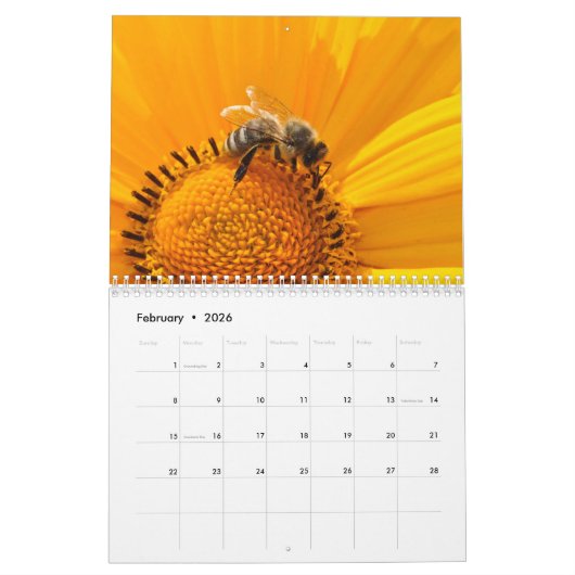 Bee 2025 カレンダー (2月 2026)