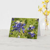 Bee and Bluebonnets聖なる書物、 経典カード2 Peter 1:5-8 カード (黄色い花)