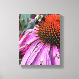 Bee and Coneflower Faux Wrapped Canvas Print キャンバスプリント