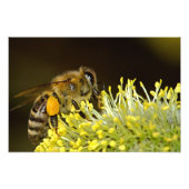 Bee at Work フォトプリント (正面)