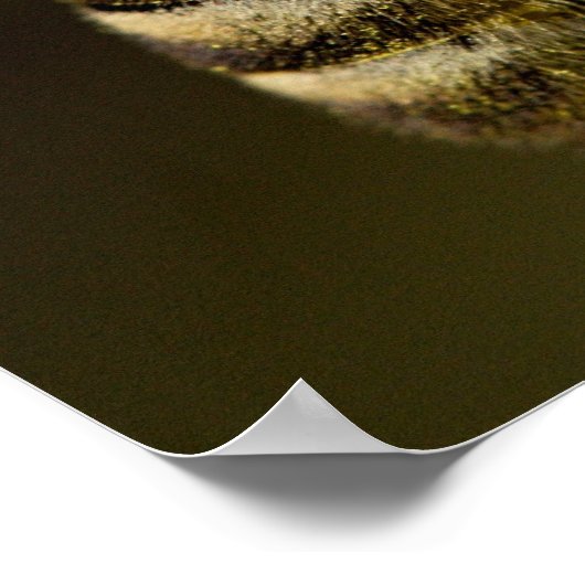 Bee at Work ポスター (角)