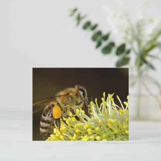 Bee at Work ポストカード (スタンド正面)