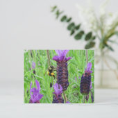 Bee Awareはがき ポストカード (スタンド正面)