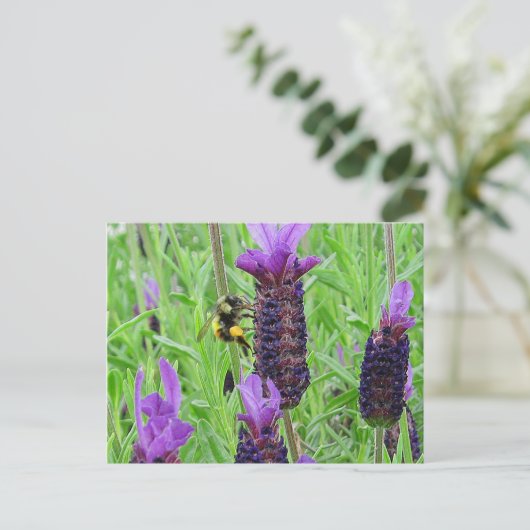 Bee Awareはがき ポストカード (スタンド正面)