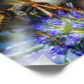 Bee Aware 10インチx 8インチ、Kodak Proフォト紙(Satin) フォトプリント (角)