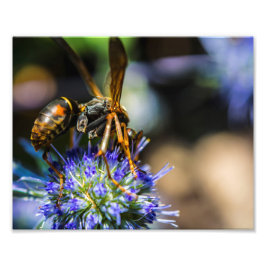 Bee Aware 10インチx 8インチ、Kodak Proフォト紙(Satin) フォトプリント