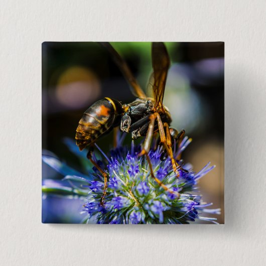 Bee Aware 2インチ正方形ボタン 缶バッジ (正面)