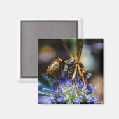 Bee Aware 2インチ角磁石 マグネット (正面/裏面)