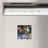 Bee Aware 2インチ角磁石 マグネット (インサイチュ (食洗機))