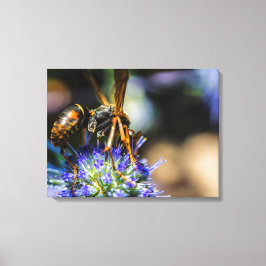 Bee Aware 24インチx 18インチ、1.5インチ、独身のキャンバスプリント キャンバスプリント