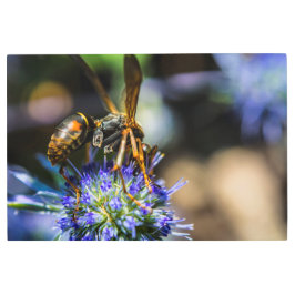 BEE AWARE 36 X 24メタルアートプリント メタルプリント