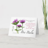 Bee Balm Blank Card サンキューカード (正面)