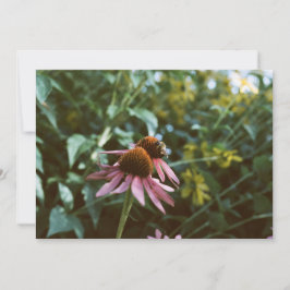 Bee & Coneflower Photo Reprint 招待状