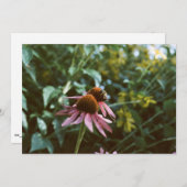 Bee & Coneflower Photo Reprint 招待状 (正面/裏面)