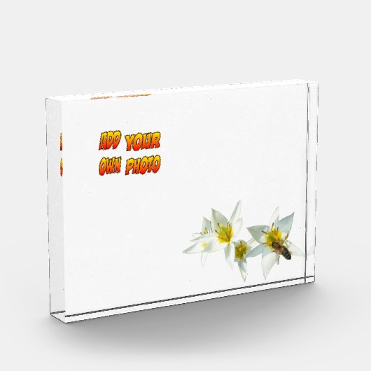 Bee Custの白いチューリップ写真ブロック フォトブロック (左)