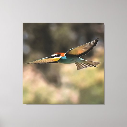 Bee Eater In Flight Realistic Artwork キャンバスプリント (正面)