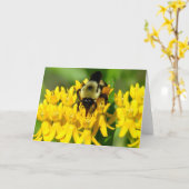 Bee Feasting on Butterfly Weed Wildflowers カード (黄色い花)