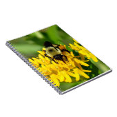 Bee Feasting on Butterfly Weed Wildflowers ノートブック (右側)