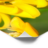 Bee Feasting on Butterfly Weed Wildflowers ポスター (コーナー)